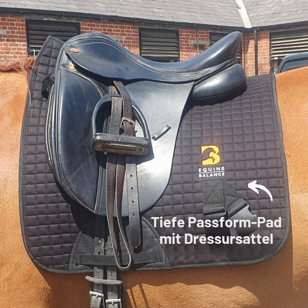 Equine Band System - Dressur Core Conditioning Trainingshilfe für Pferde mit Pro Grade Pferdephysiobändern und Dressurschabracke von Equine Balance Bands.