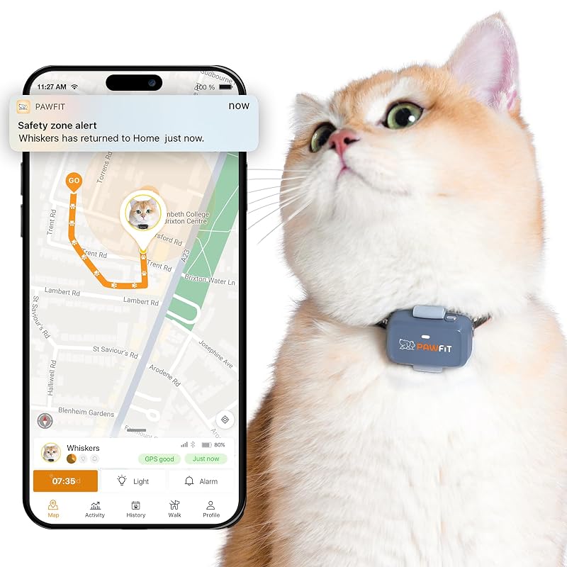 Rastreador GPS 4G para Gatos Pawfit Lite com Monitoramento em Tempo Real, Coleira de Segurança, Lilás-Cinza