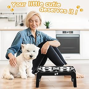 Best Elevated Dog Bowls for French Bulldogs 2 71sFw8rQzZL. AC SL289
