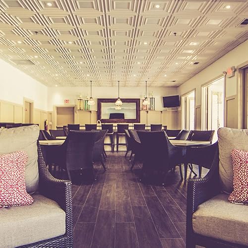 Vista 22 de From Plain To Beautiful In Hours 222 Schoolhouse - Azulejos de techo de PVC de 2 x 2 pies (cubiertas/40 pies cuadrados), cobre antiguo, 10