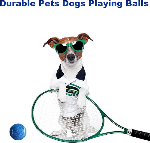 Miniatura 9 de Pelotas de tenis, paquete de 12 pelotas de tenis de práctica avanzada para principiantes, pelotas de tenis de entrenamiento para perros y mascotas
