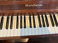 Review Image by L. Trotter L. Trotter