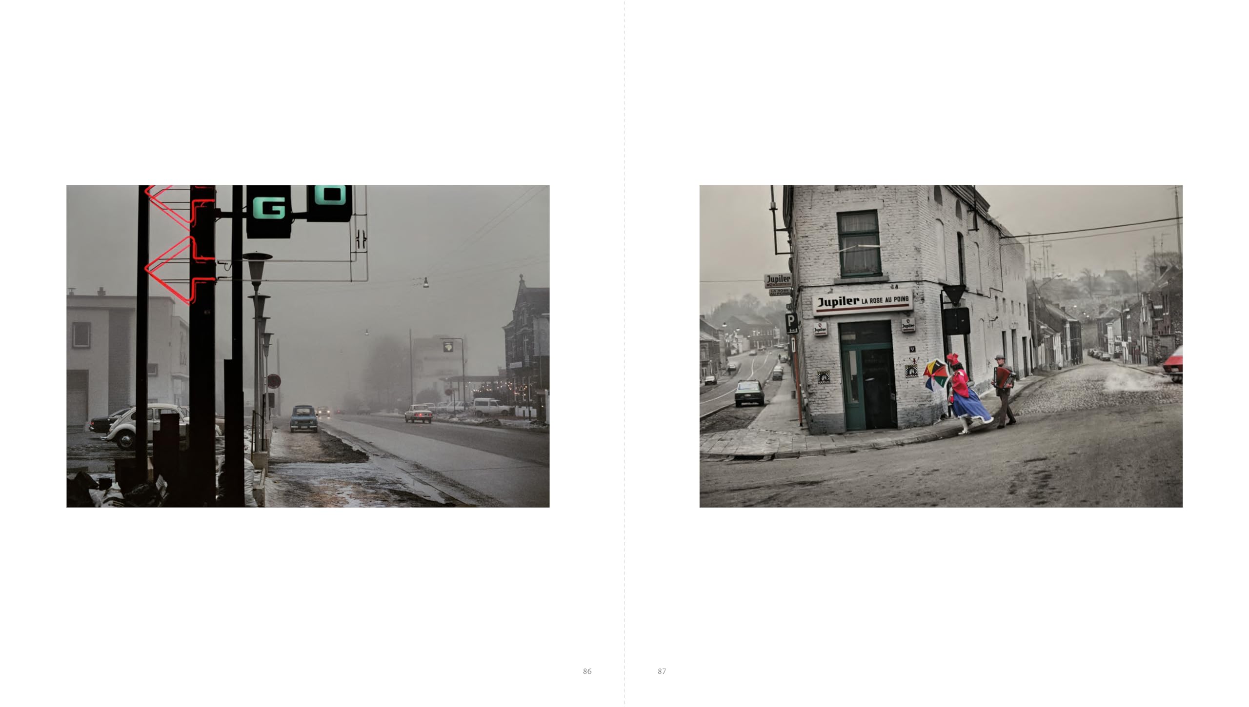 Harry Gruyaert: Homeland