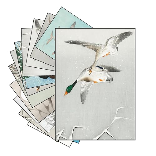 12 x Mini Posters Unframed ~ Ducks and Pond Life