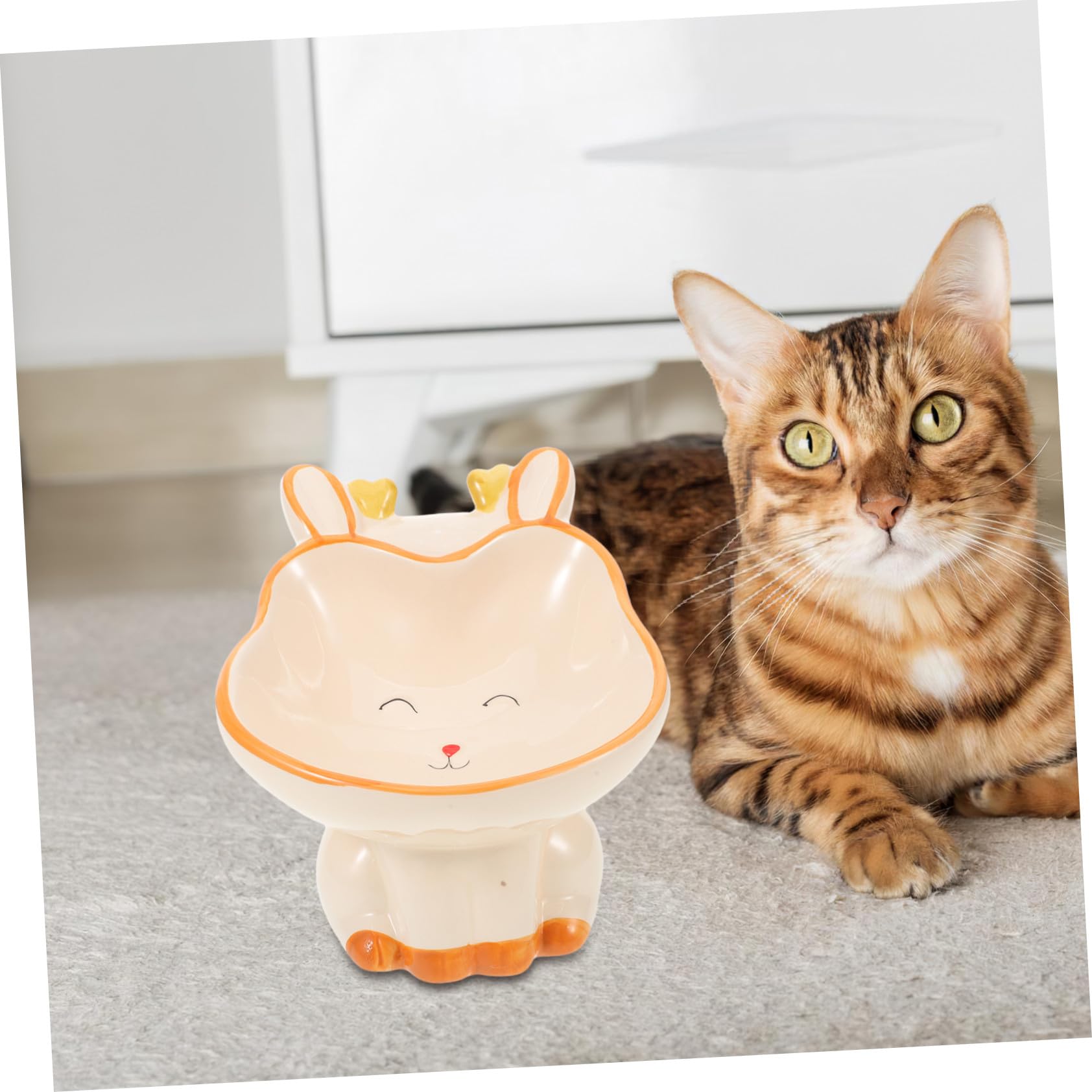 Milisten Gamelle Chat Surélevée Céramique Gamelle Eau pour Chats Et Chiens Abreuvoir pour Animaux De Compagnie
