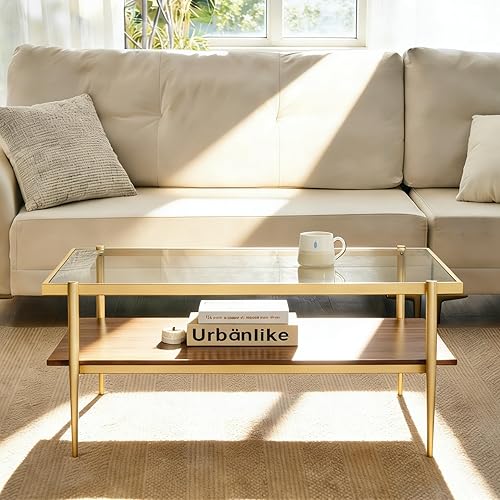 Shrine - Mesa de café rectangular, diseño moderno de mediados de siglo, estructura de 2 niveles, parte superior de vidrio transparente y estante de