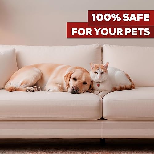 Miniatura 8 de XFasten Cinta de entrenamiento para gatos antiarañazos, transparente, 2.5 pulgadas x 15 yardas, 2.5 pulgadas x 15 yardas (paquete de 3) para