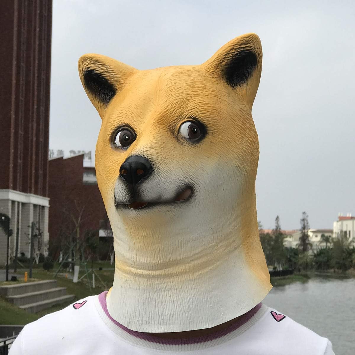 60 Off 被り物 フルヘッドマスク 仮面 お面 コスチューム 犬 秋田犬 イヌ 動物 仮装 変装 イベント パーティー 舞台小道具 Materialworldblog Com