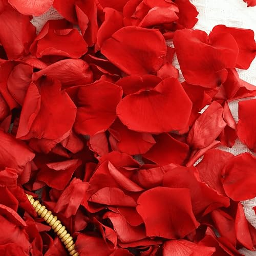 Miniatura 9 de Koceko Pétalos de rosa blancos reales secos, pétalos de flores preservados congelados de 2.8 onzas para regalos del día de San Valentín, decoración