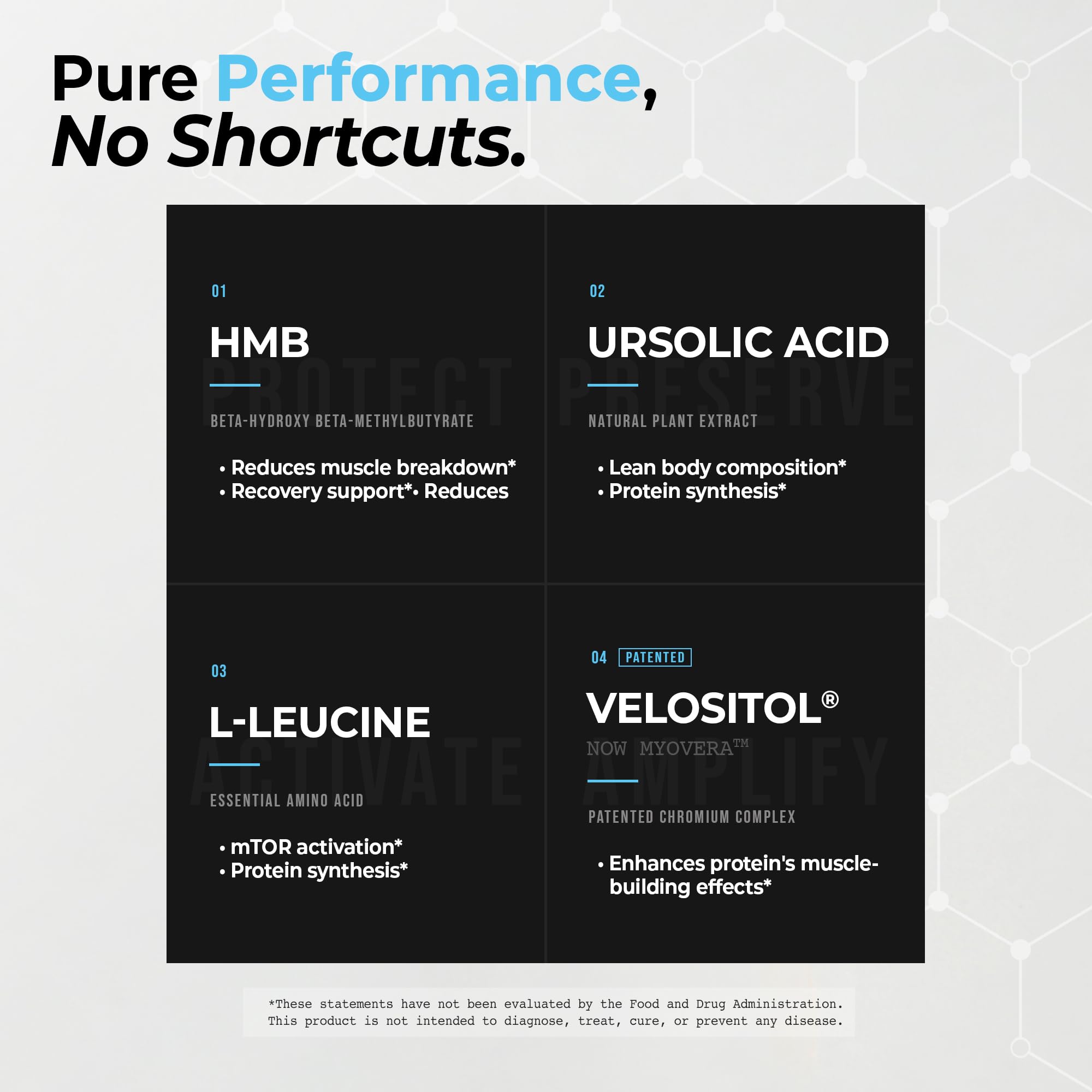 Protein Synthesis Formula + Ursolic Acid, HMB, Leucine, Velositol (MyoVera) — Amazon image 2