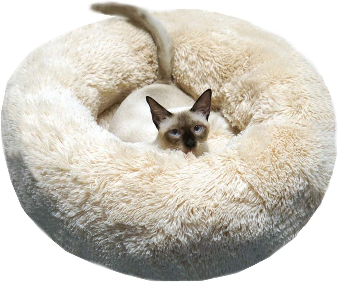BODISEINT Modern Soft Plush Round Pet Bed for Cats or Small Dogs, Mini Medium Sized Dog Cat Bed Self Warming Autumn Winter Indoor Snooze Sleeping Cozy Kitty Teddy Kennel (M(23.6”Dx7.9 H), Champagne)