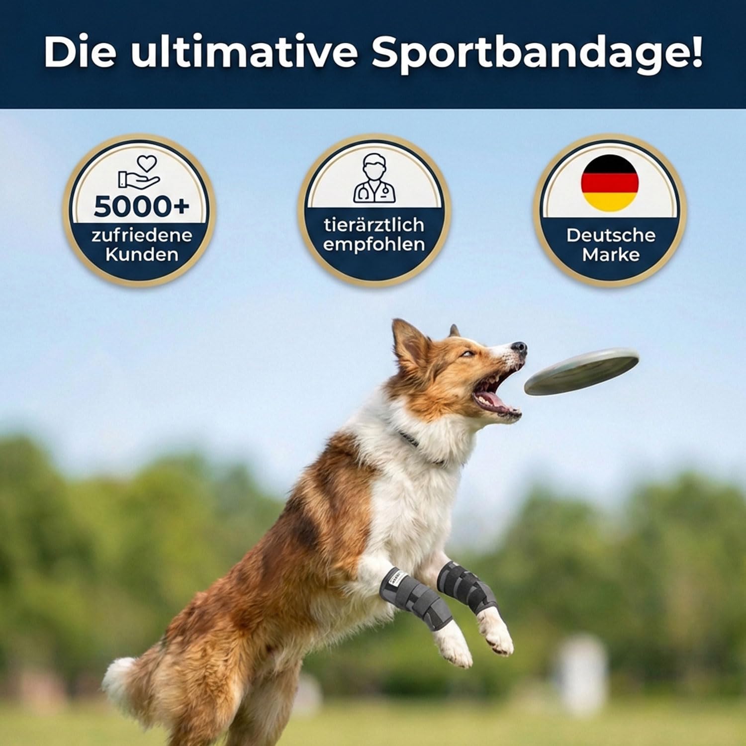 Nature Pet Sport Gelenk Bandage Gelenk- & Knochenschutz für Hunde - geeignet für Agility, Flyball und Hunde Frisbee - Bandage bei leichter Arthrose oder Leckschutz und Verbandschutz nach OP (L)