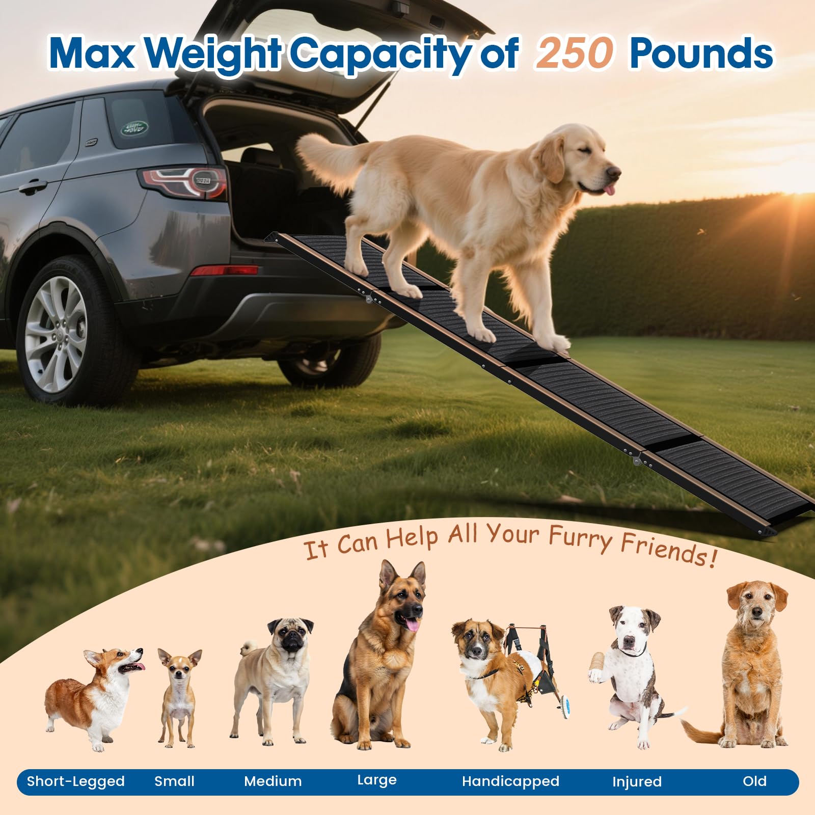 HBTower 71" Long & 17.3" Wide Folding Dog Ramp for Car, SUV & Truck – Portable Pet Ramp with Non-Slip Surface, Extra Wide Steps for Large Dogs Up to 250LBS - image 3