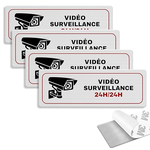 La CNIL oblige la ville de Nice à désactiver les caméras intelligentes qui surveillent les écoles #3