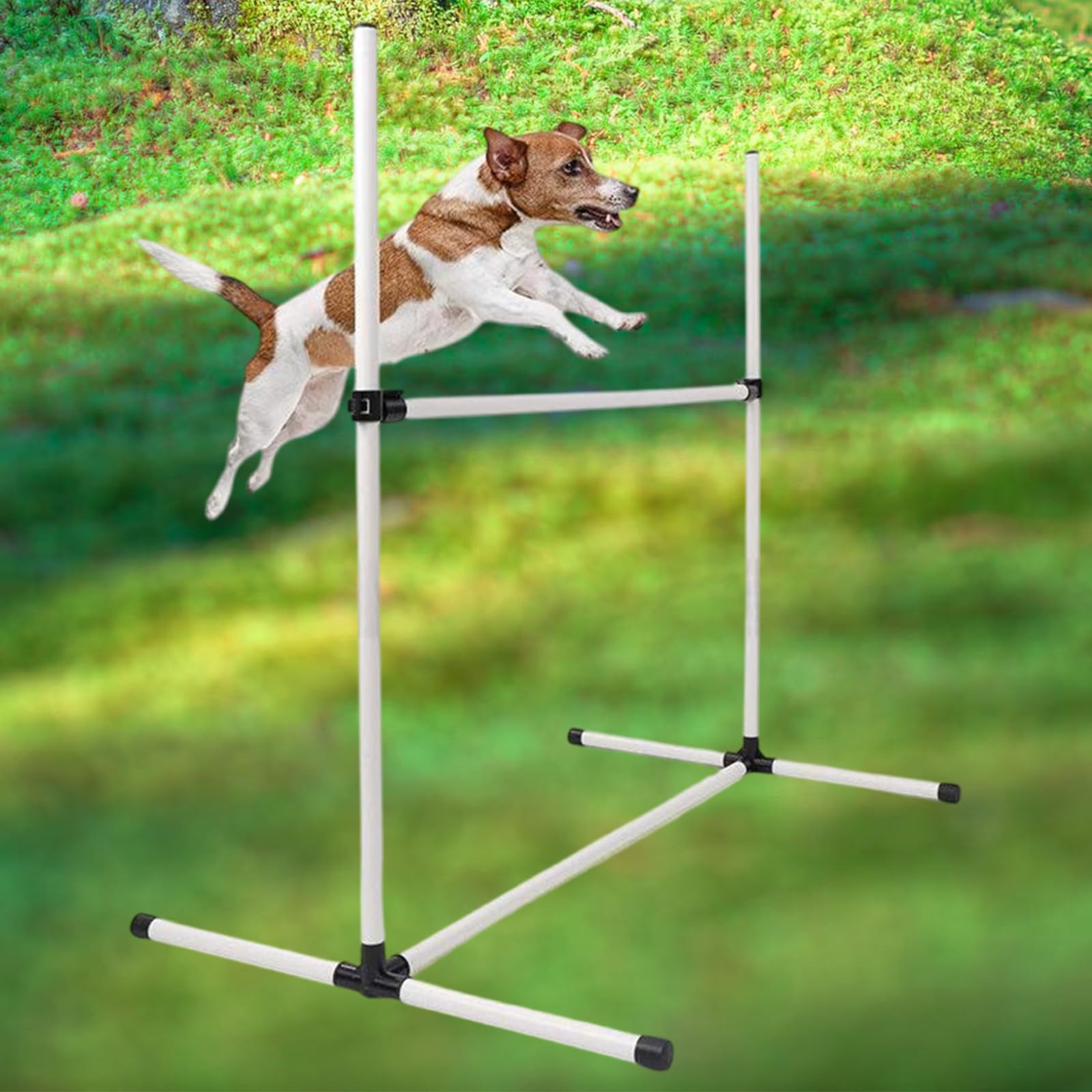 Kit de entrenamiento de agilidad para mascotas con 4 postes de altura ajustable, diseño portátil con bolsa de almacenamiento