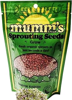 Organic Daikon Radish (Radis Daikon) Sprouting & Microgreen Seeds, Mumm's, Large Size: 200 Grams, Non-GMO - Product of Canada - High Germination Rate - Resealable Bag