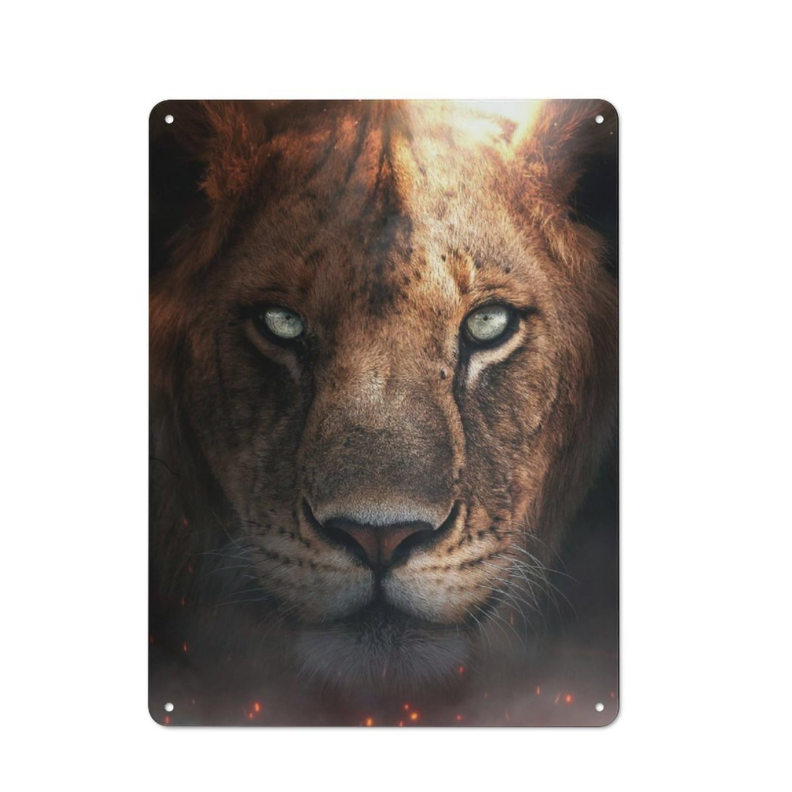 Junmoney The Lion Cub Portrait Vintage Tin Sign 40X30cm With For Studio Or Craft Room, For Garage, Workshop And Man Cave Decoration