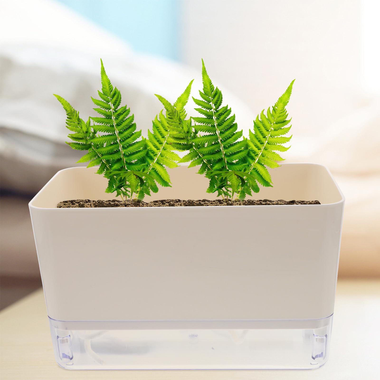 SHINEOFI Récipient à Arrosage Automatique pour Plantes D'intérieur Corde D'irrigation, Pot en Plastique Blanc sans Risque de Casse, Adapté pour Usage Intérieur et Extérieur