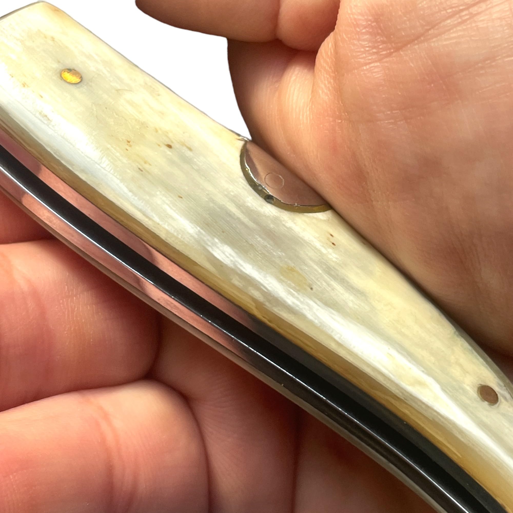 Coltello classico di lusso in corno di toro - 21,50 cm - lama in acciaio 3Cr13Mov da 9,30 cm - manico in legno a 12,20 cm - peso 80,00 g - Portabilità e utilizzo quotidiano