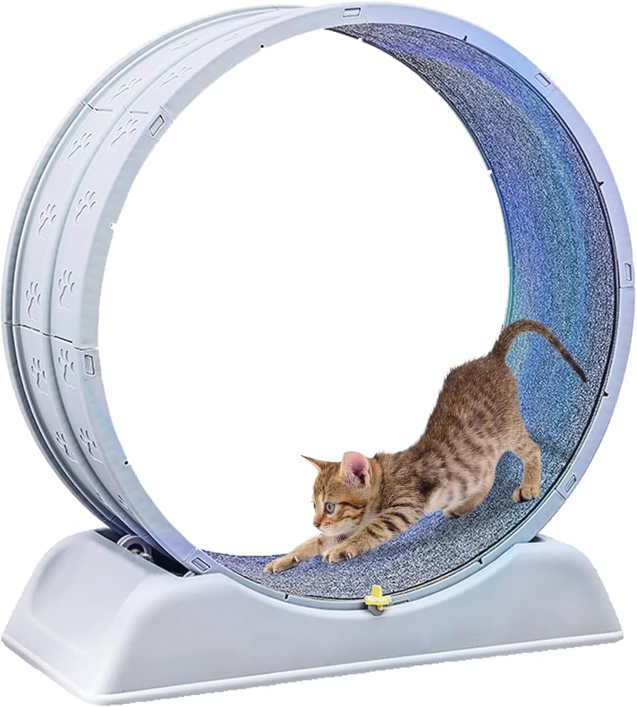 キャットホイール Amazon | LINECY キャットホイール 猫回し車 猫用トレッドミル 猫