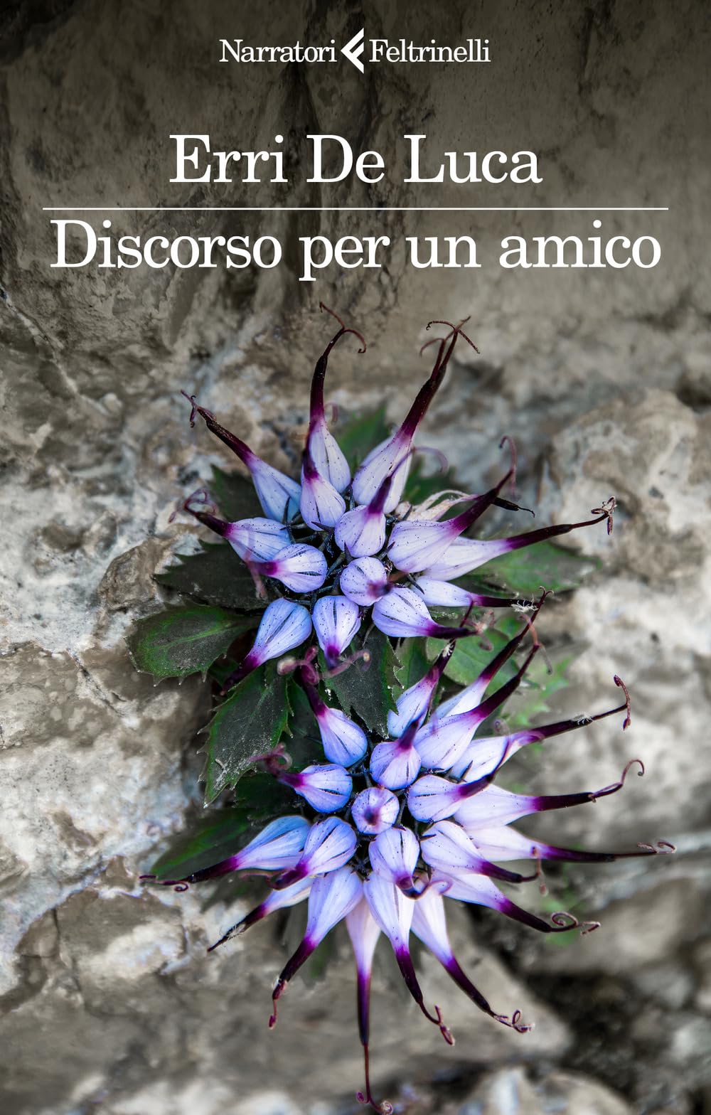 Discorso Per Un Amico - 4