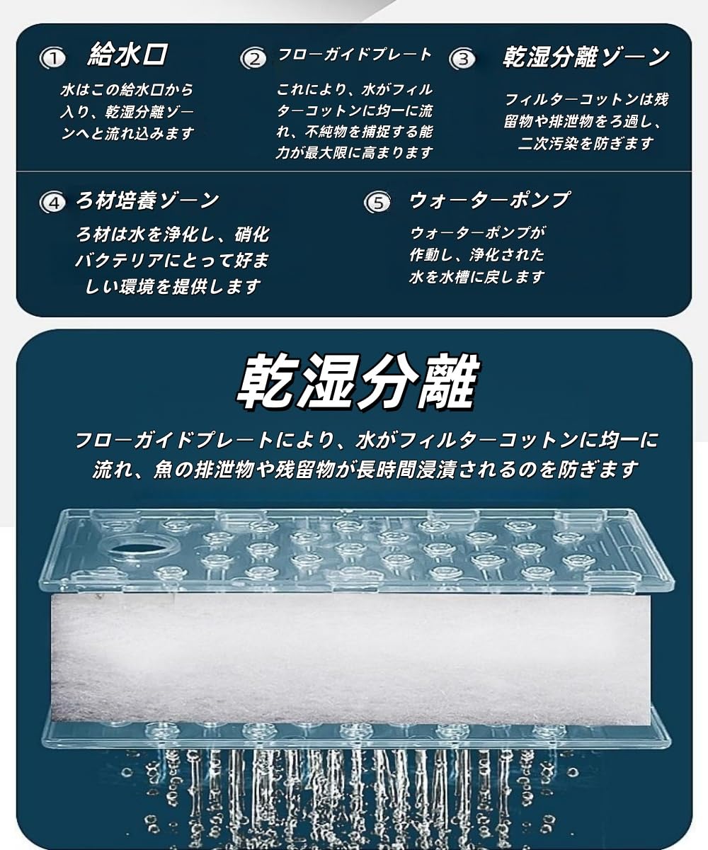 Amazon | VQK 横置ろ過式水槽 ガラス製 卓上用 自己循環エコシステム