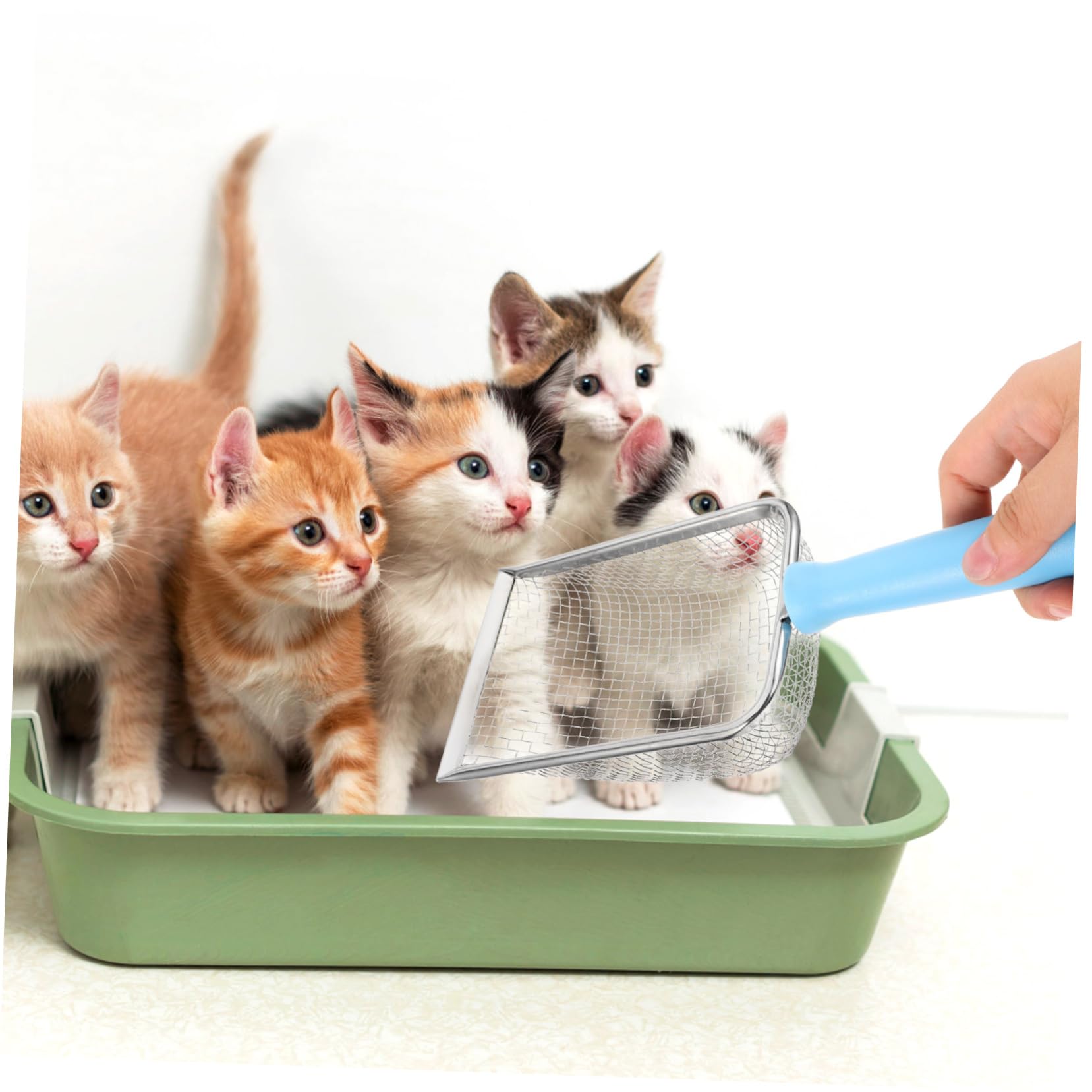 VANZACK 5pezzi Metal Cat Litter Scoop Inossidabile Antiaderente Attrezzo per Pulizia Lettiere per Design Filtrato La Rimozione Rapida Feci e