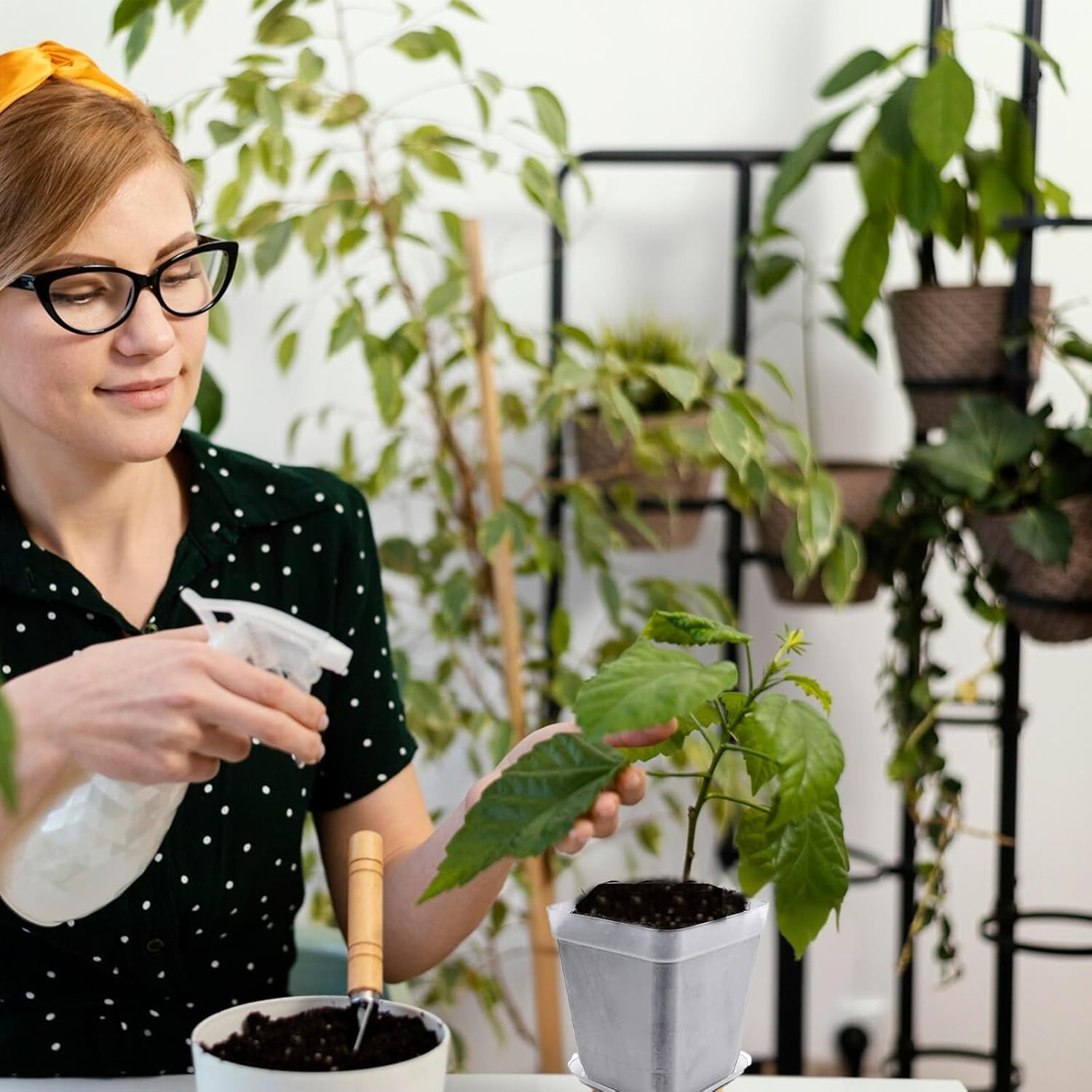 Clear Nursery Pots for Plants,50 PCS 3 Inch Square Transparent Plastic Garden Pots Planter with Saucer,Clear Plant Pots with Drainage for Indoor, Outdoor, Garden, Office, Balcony