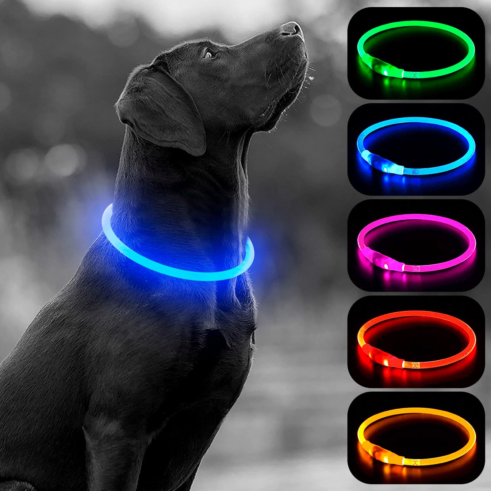 HIGO LED Dog Collar, USB Rechargeable Light Up Dog Collar, TPU Cuttable Glowing Pet Safety Collar for Nighttime Dog Walking (Blue)