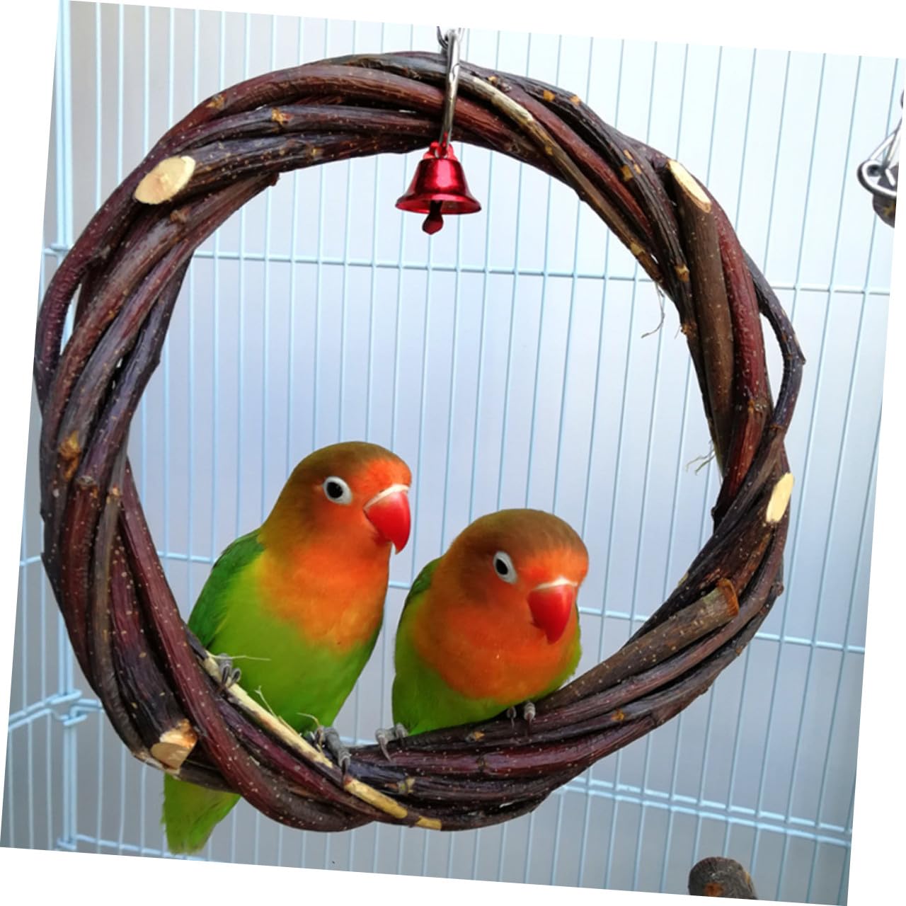 Sosoport 3sätze Vogelspielzeug Mit Schaukel Und Stehständer Geflochtener Ring Aus Apfelholz Für Papageien Und Wellensittiche Spiel Und Bewegung Im Vogelkäfig