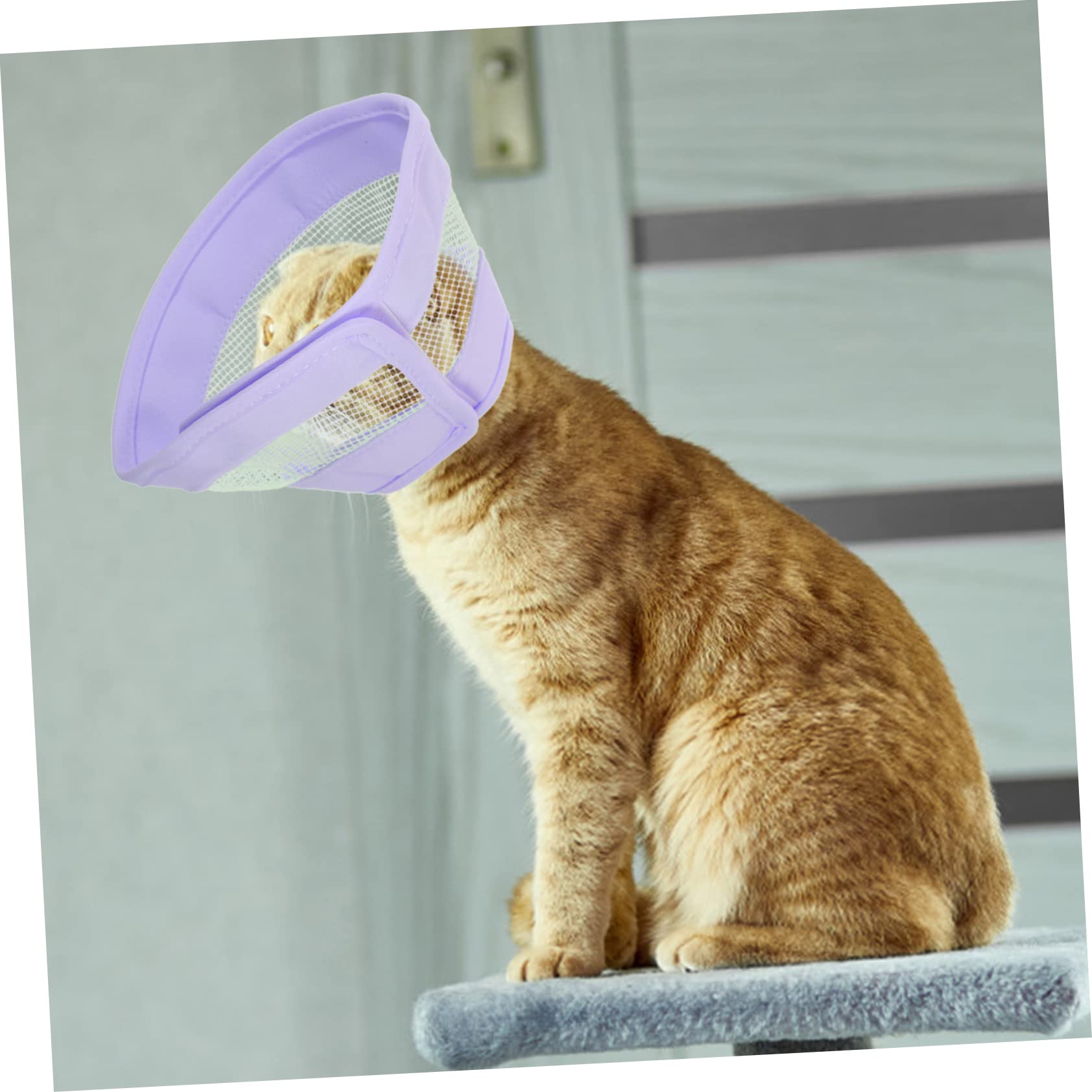 Sosoport 5stücke Cat Cone Halskrause Weicher Atmungsaktiver Katzenkragen Für Postoperative Wundheilung Verhindert Lecken Und Kratzen Komfortabel Und Einfach Anzulegen