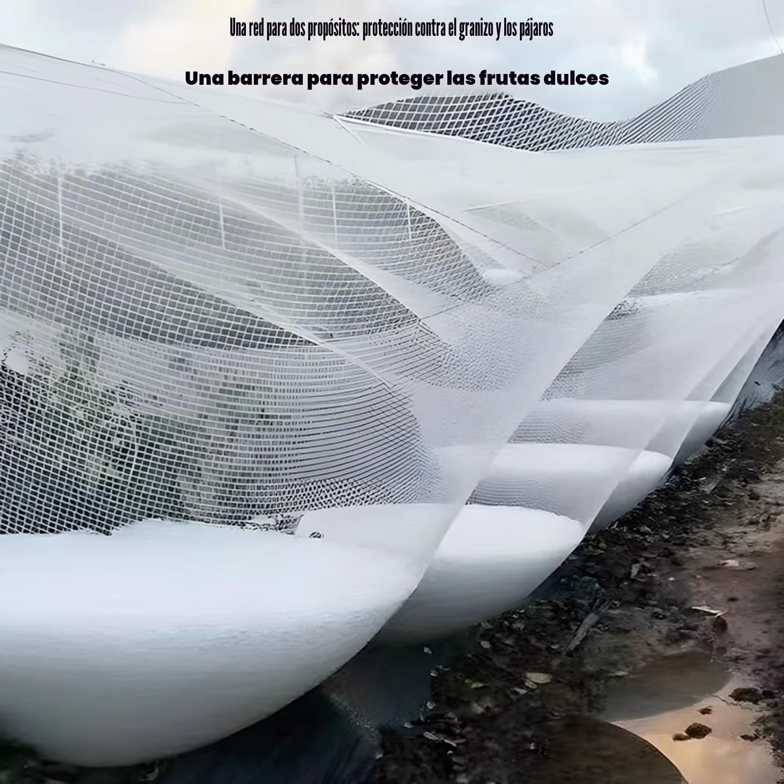 Malla Antigranizo para Huerto, Red Anti-Granizo Verduras, Protección de Estanques de Plantas Agrícolas(5x5 m)