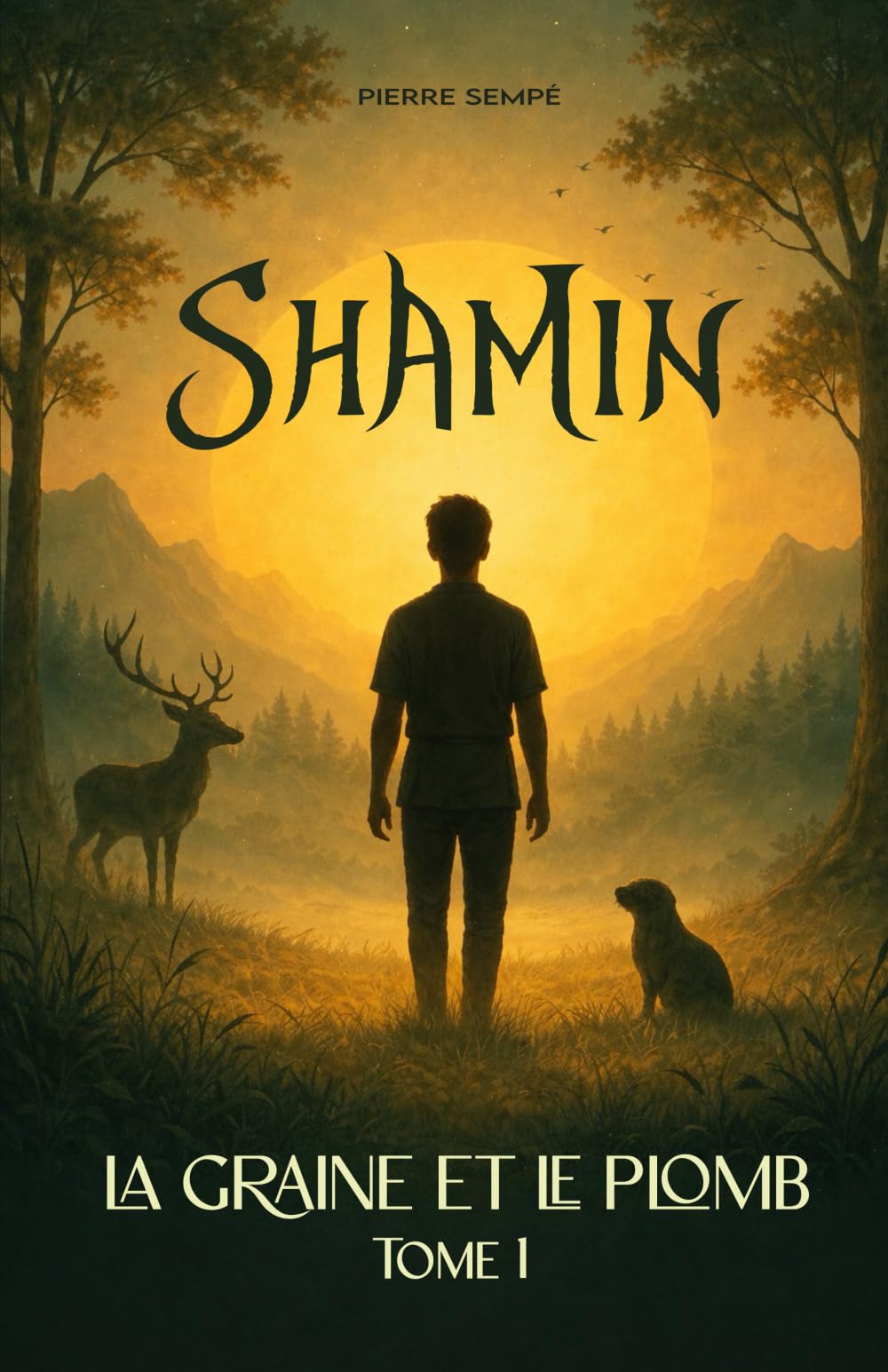 Shamin: La graine et le plomb - Tome 1