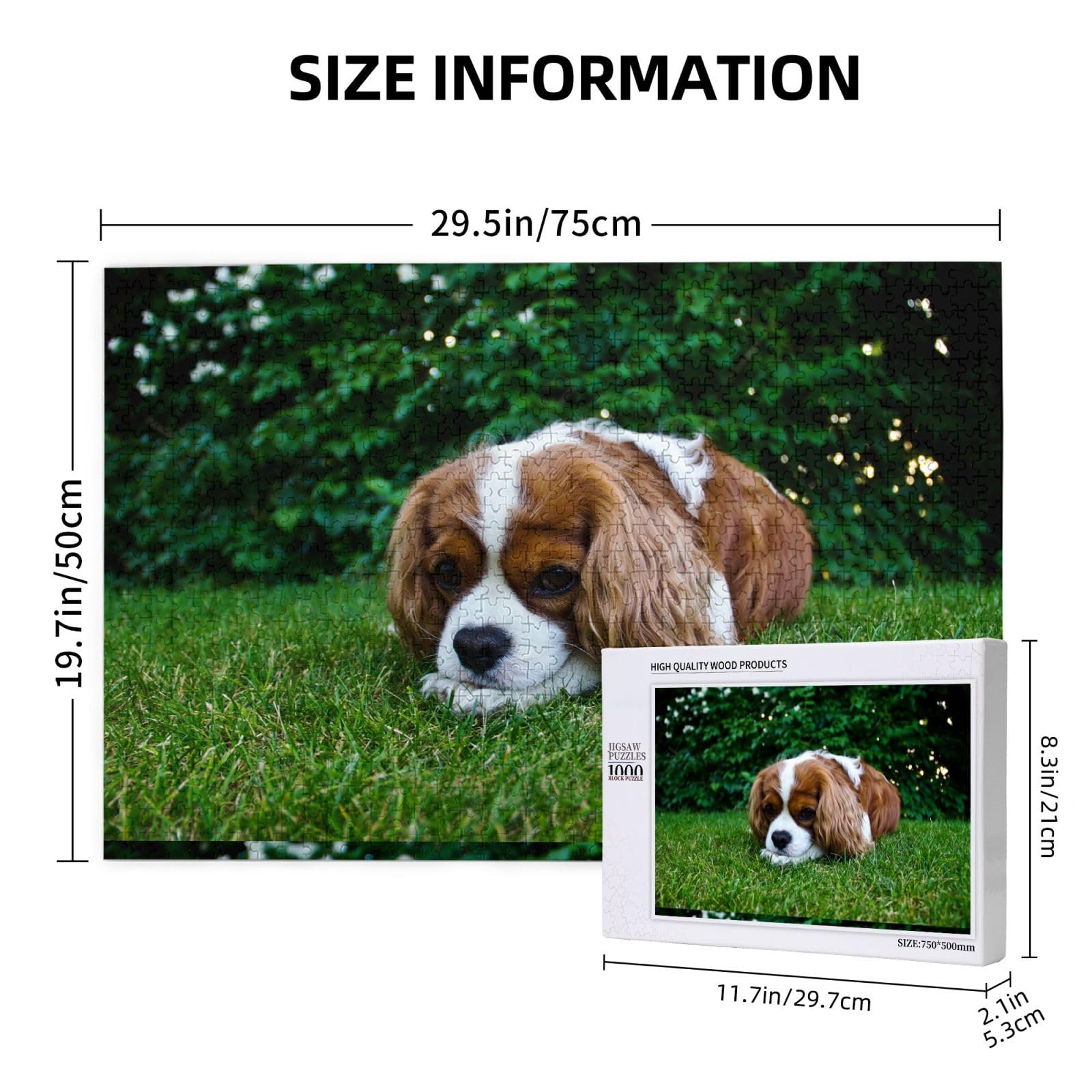 Gioco di puzzle per adulti, puzzle impegnativi, puzzle da 1000 pezzi, Cavalier King Charles Spaniel marrone bianco