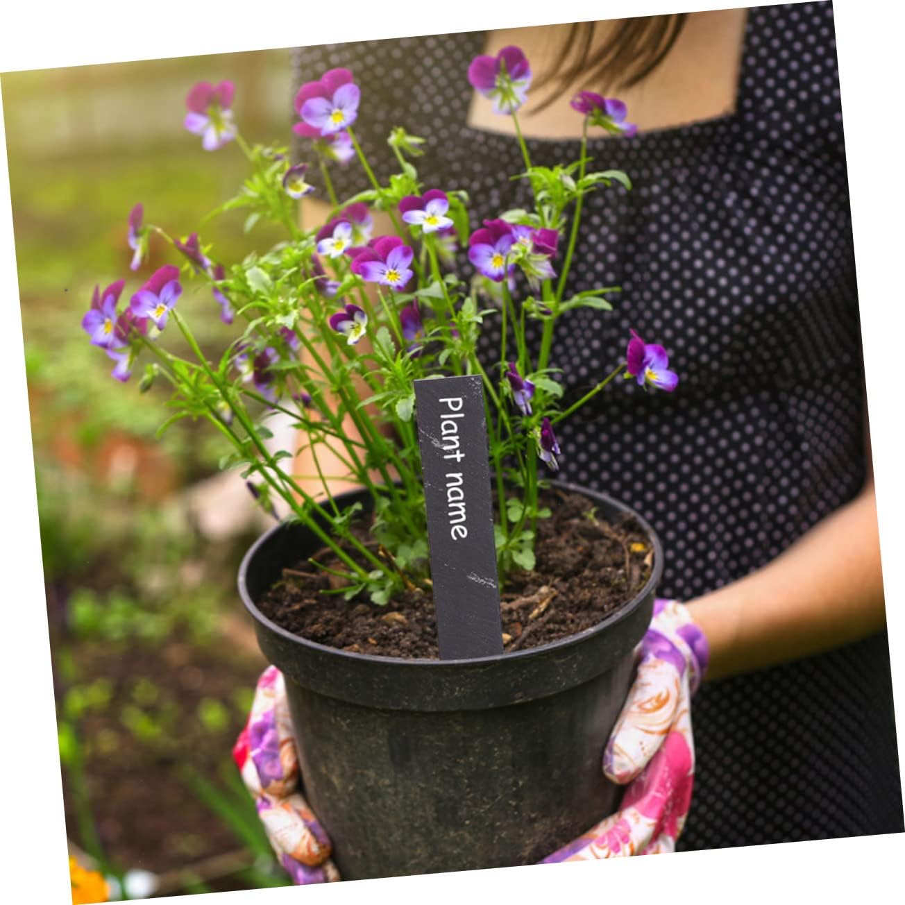 Garneck 12pcs Plant Labels for Garden Markers for Vegetable Flower and Herb Identification for Indoor and Outdoor Use