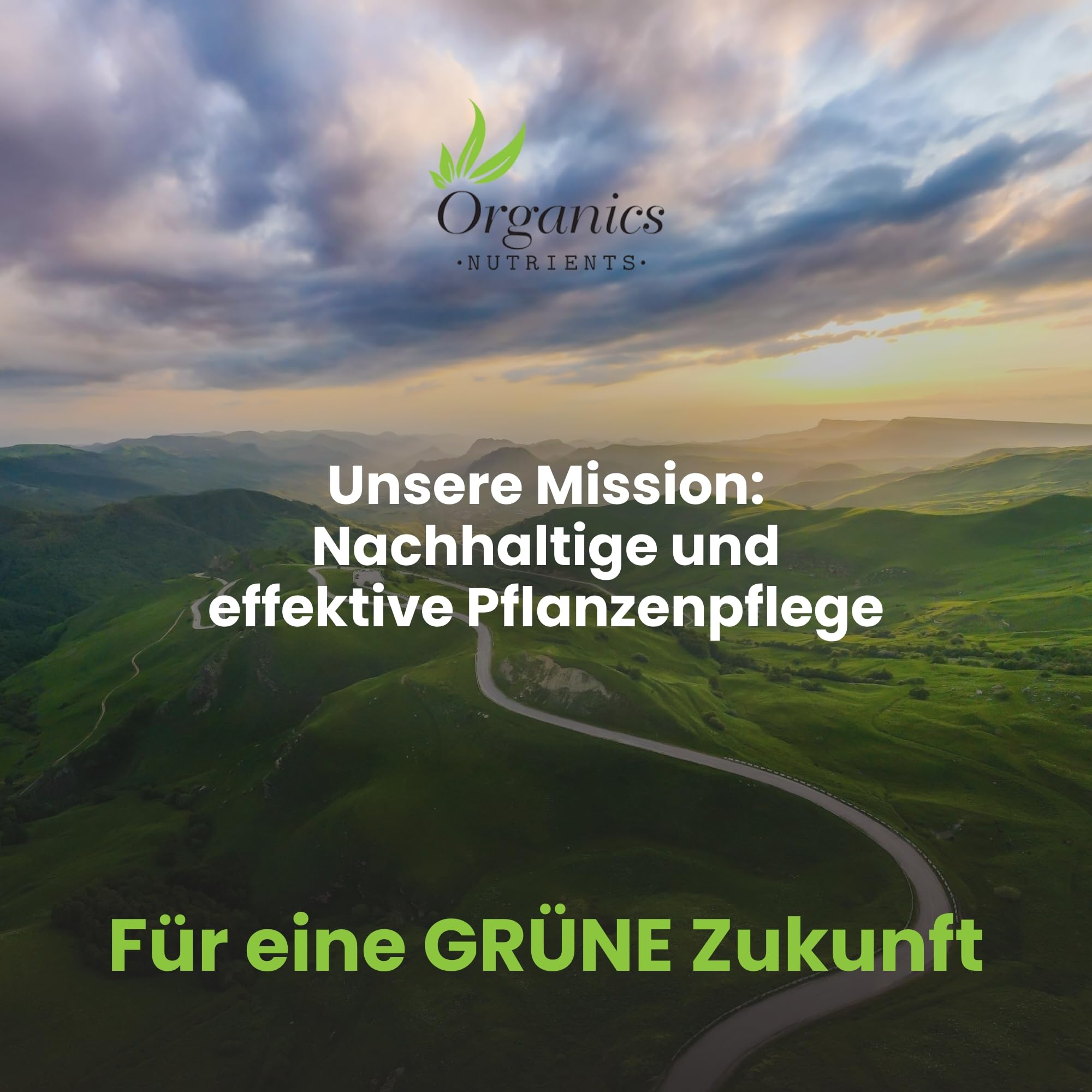 Starter Kit Mykoriza organischer Dünger Pflanzendünger 5-teiliges Set Gemüse Kräuter Blumen