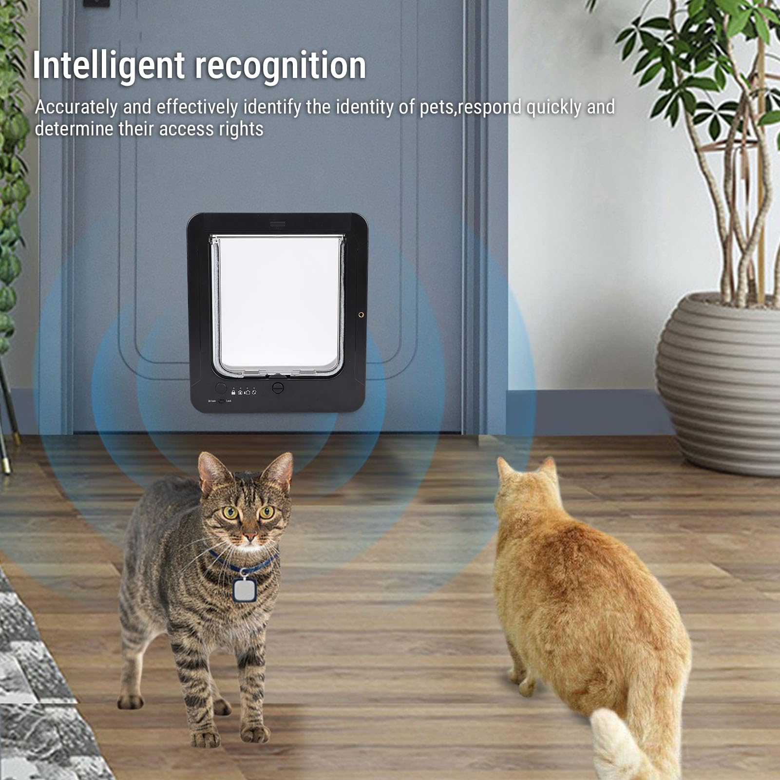 Intelligente Katzentür, Haustiertür mit Automatischem Erkennungshalsband und 2-Wege-Zugang, für Kitty Kittens Doggie