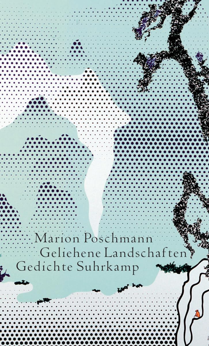 Geliehene Landschaften: Lehrgedichte und Elegien