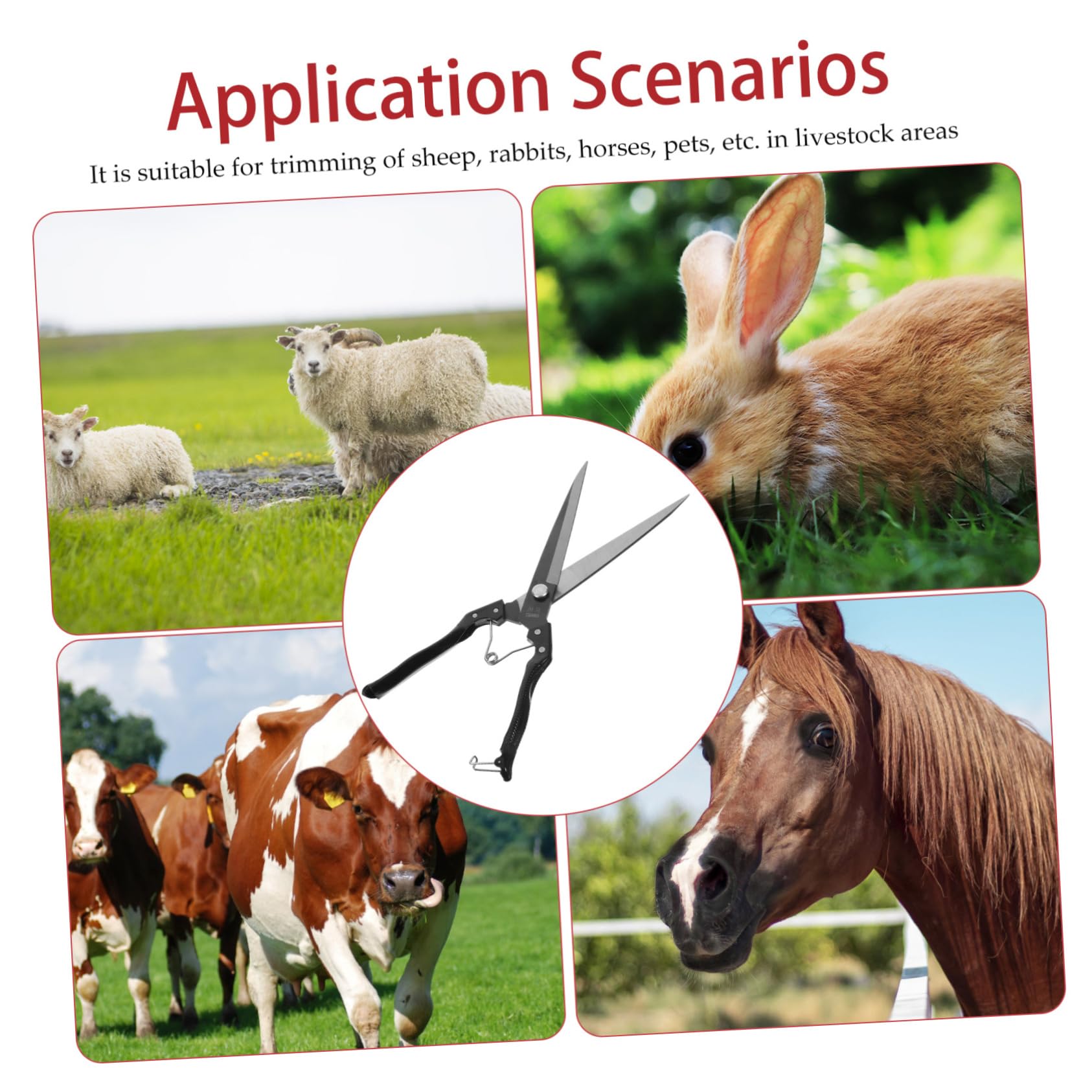 TOYANDONA 1 Set per Tosatura Animali Carbonio Strumento Manuale per Tosare e Bestiame per Operazioni Agricole e Toelettatura Professionale