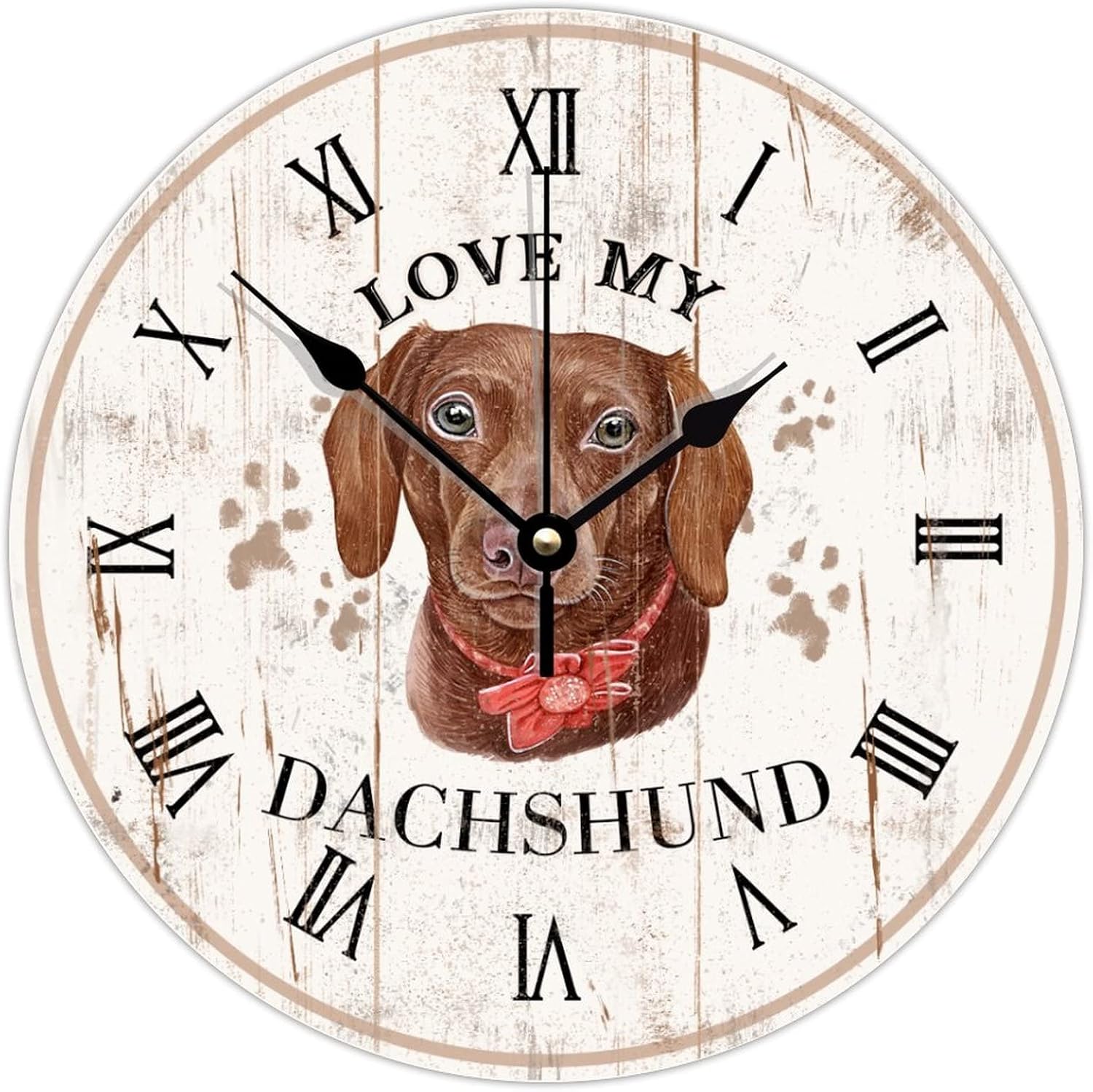 Why Does My Dog Face The Wall