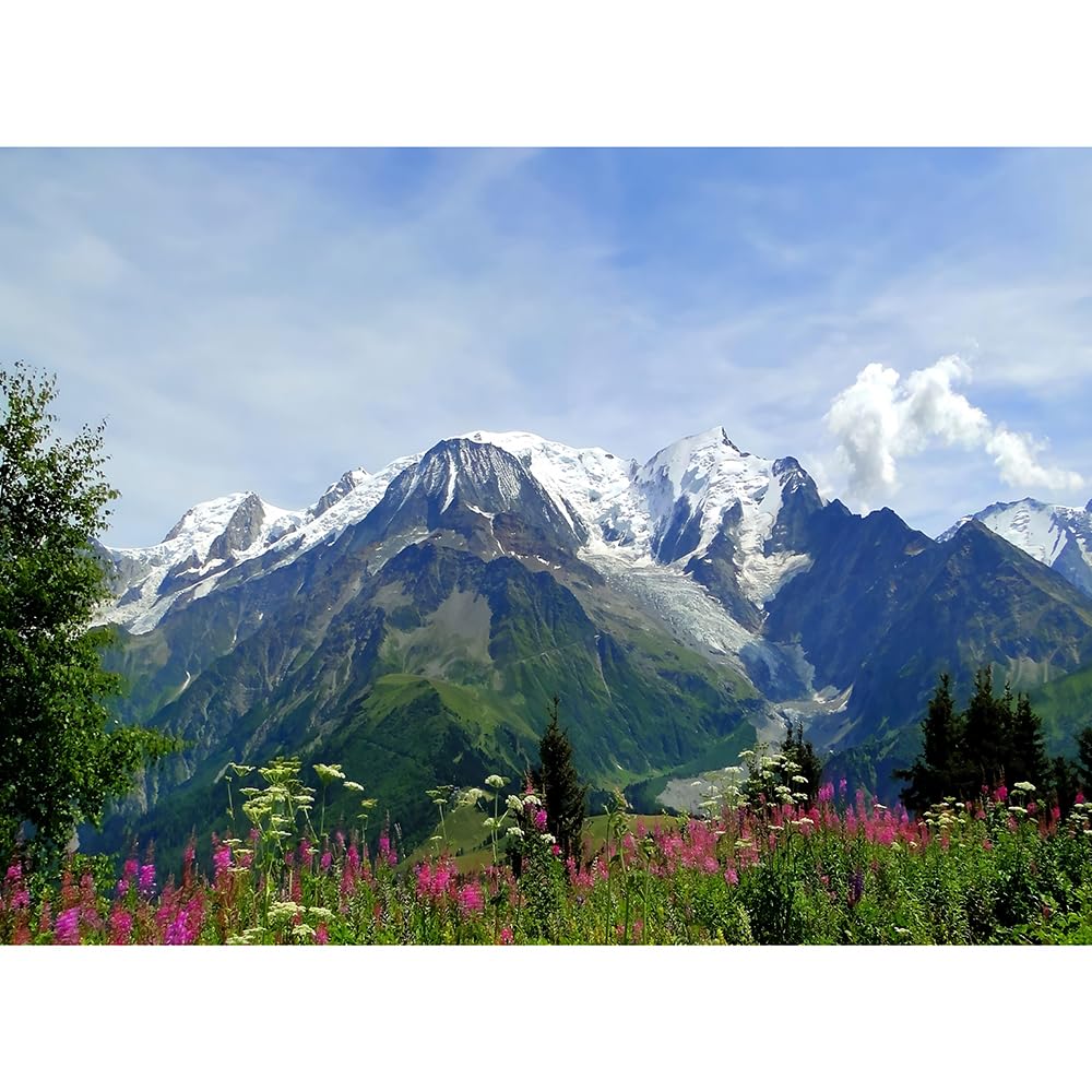 Puzzle da 3000 pezzi per adulti, paesaggi naturali, Alpi e Monte Bianco, regalo e gioco educativo per adolescenti