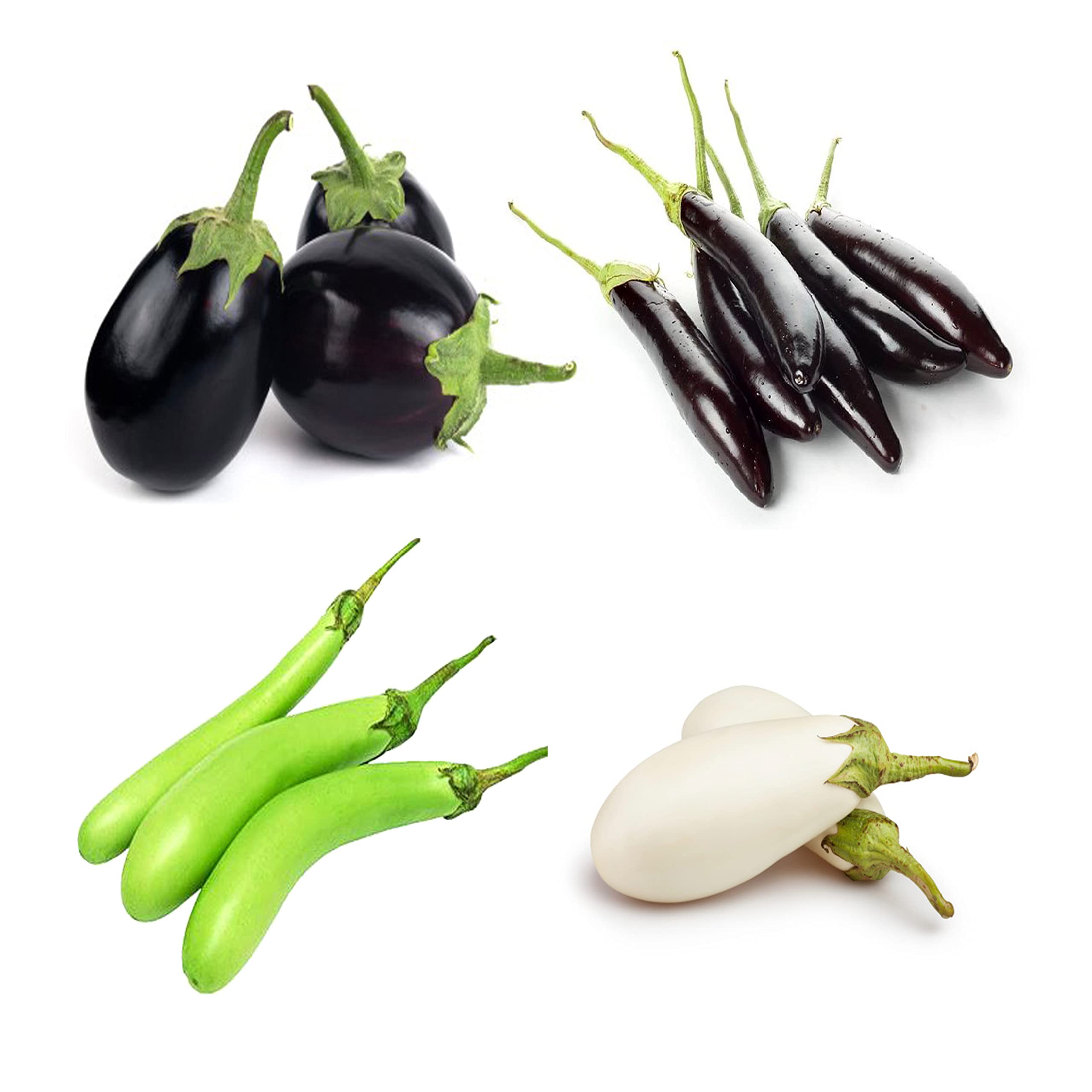 Combo Pack of Organic Seeds of 4 verities of Brinjals, Round Brinjals, Long Brinjals, Green Brinjals and White Brinjals (B09R4YH49R) Amazon Price History, Amazon Price Tracker