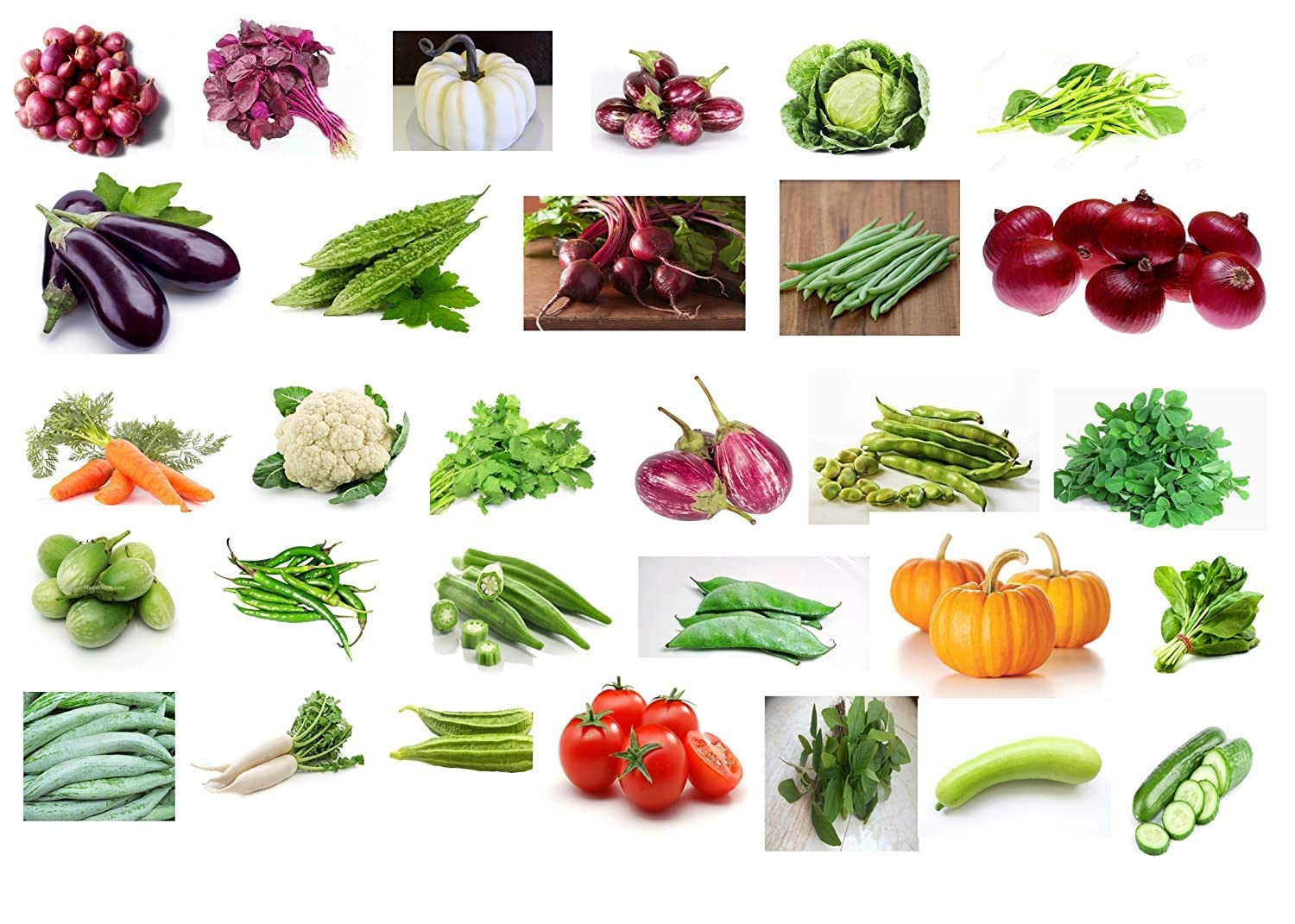 EG ELAMGREENVegetable seeds for gardening 30 Varieties with Cocopeat block/Organic Vegetable seeds for kitchen garden (B09P19S13L) Amazon Price History, Amazon Price Tracker