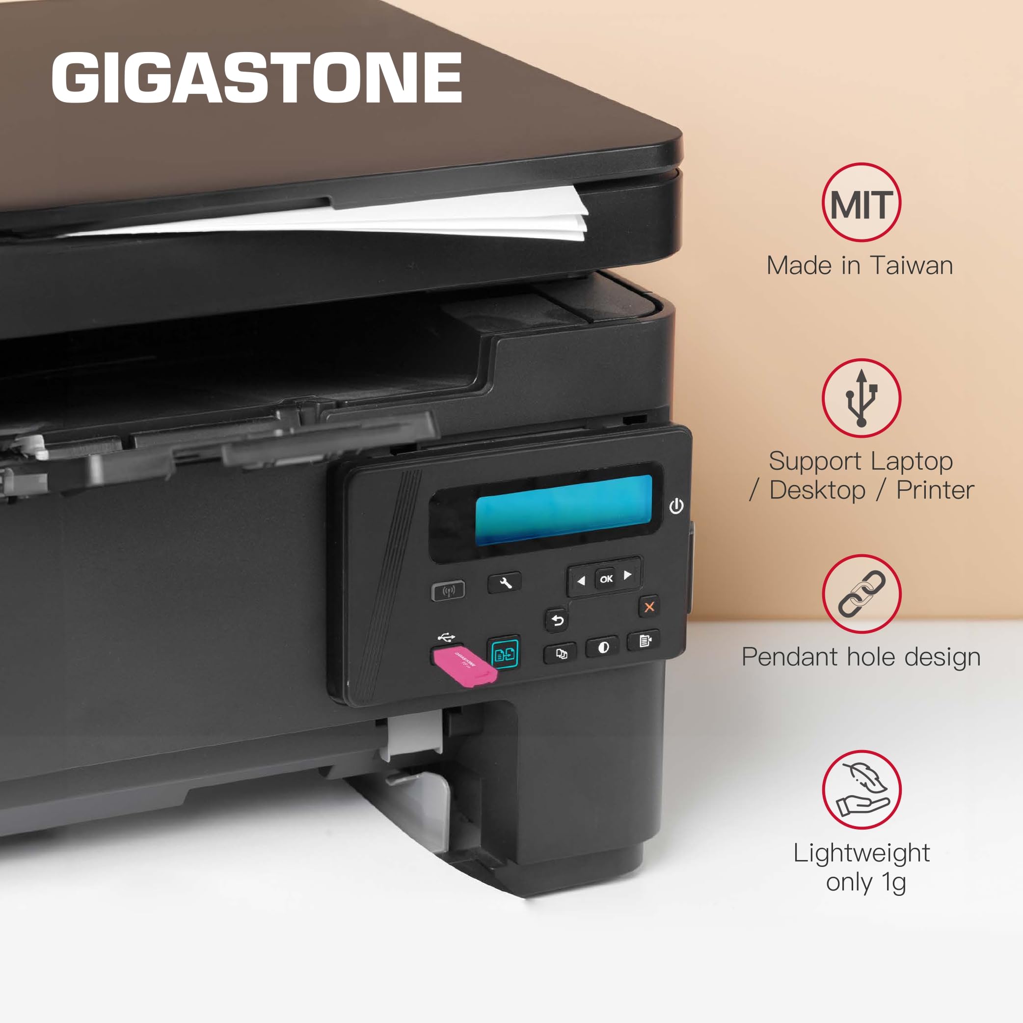 Gigastone Chiavetta USB 32 GB Set da 10, V70 USB 2.0 Memorizzazione dei dati Serie, design portachiavi, compatibile con interfaccia USB 2.0