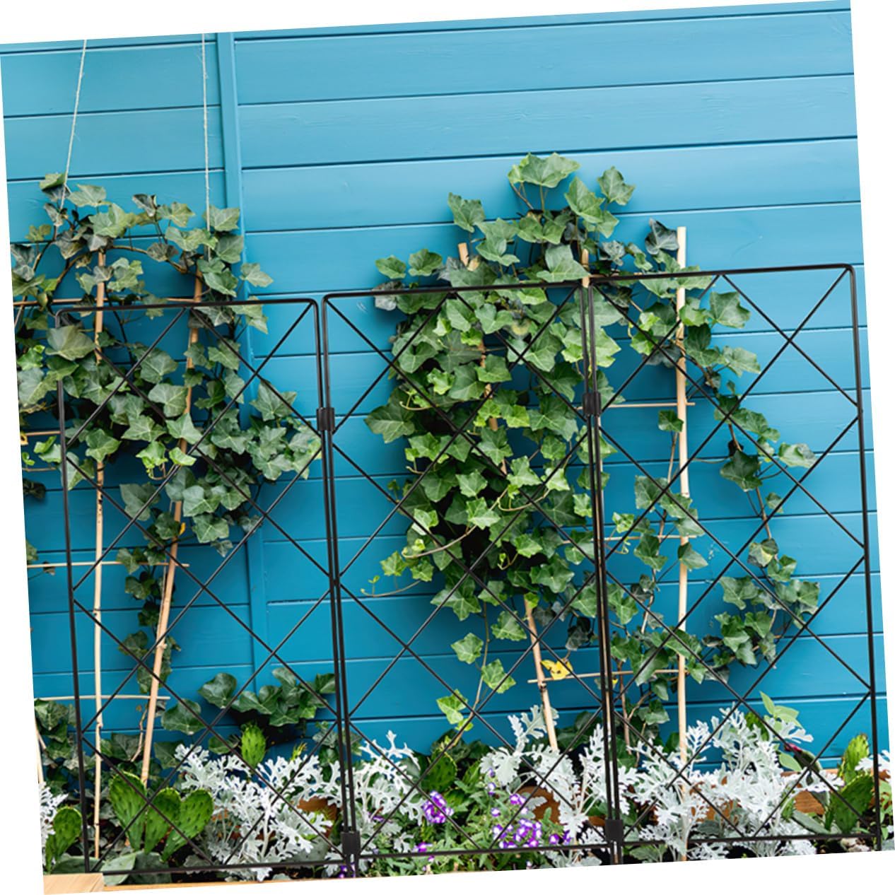 2pcs Plant Trellis Garden Support Bracket for Climbing Vines and Tomatoes
