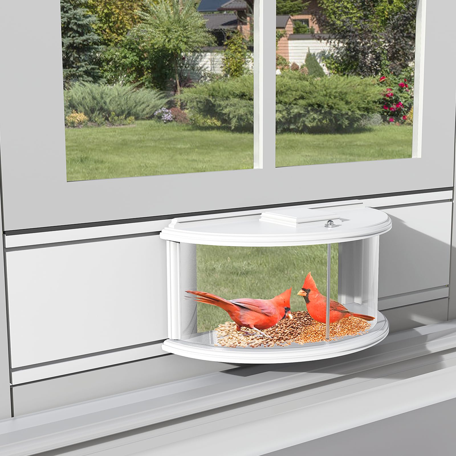 Photo 1 of BAIAPEY Window Bird Feeder - 180° Clear View Bird Feeder, Durable, Elegant in-Window Bird Feeder for Bird Watching - Bring Joy to Your Home.