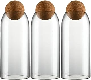 Glass Airtight Glass Terrarium Set