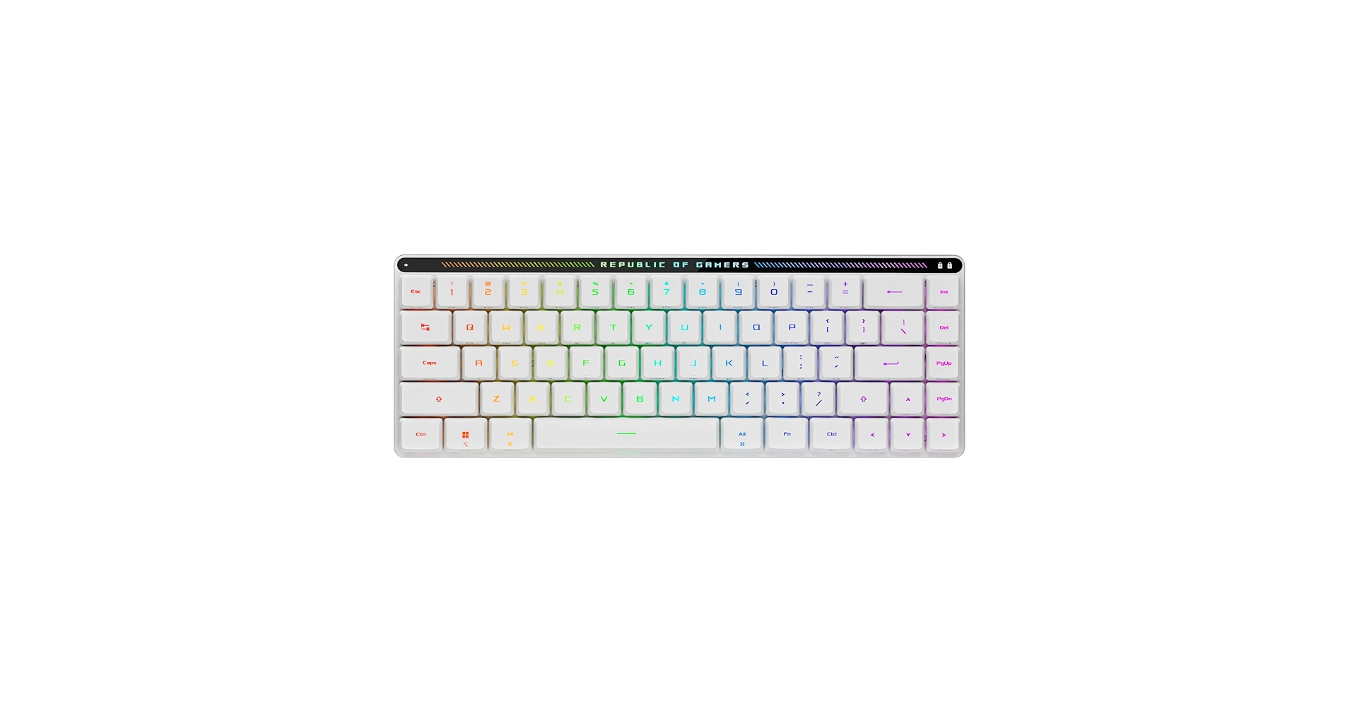 Amazon.com: ASUS ROG Falchion RX Low Profile Wireless Gaming