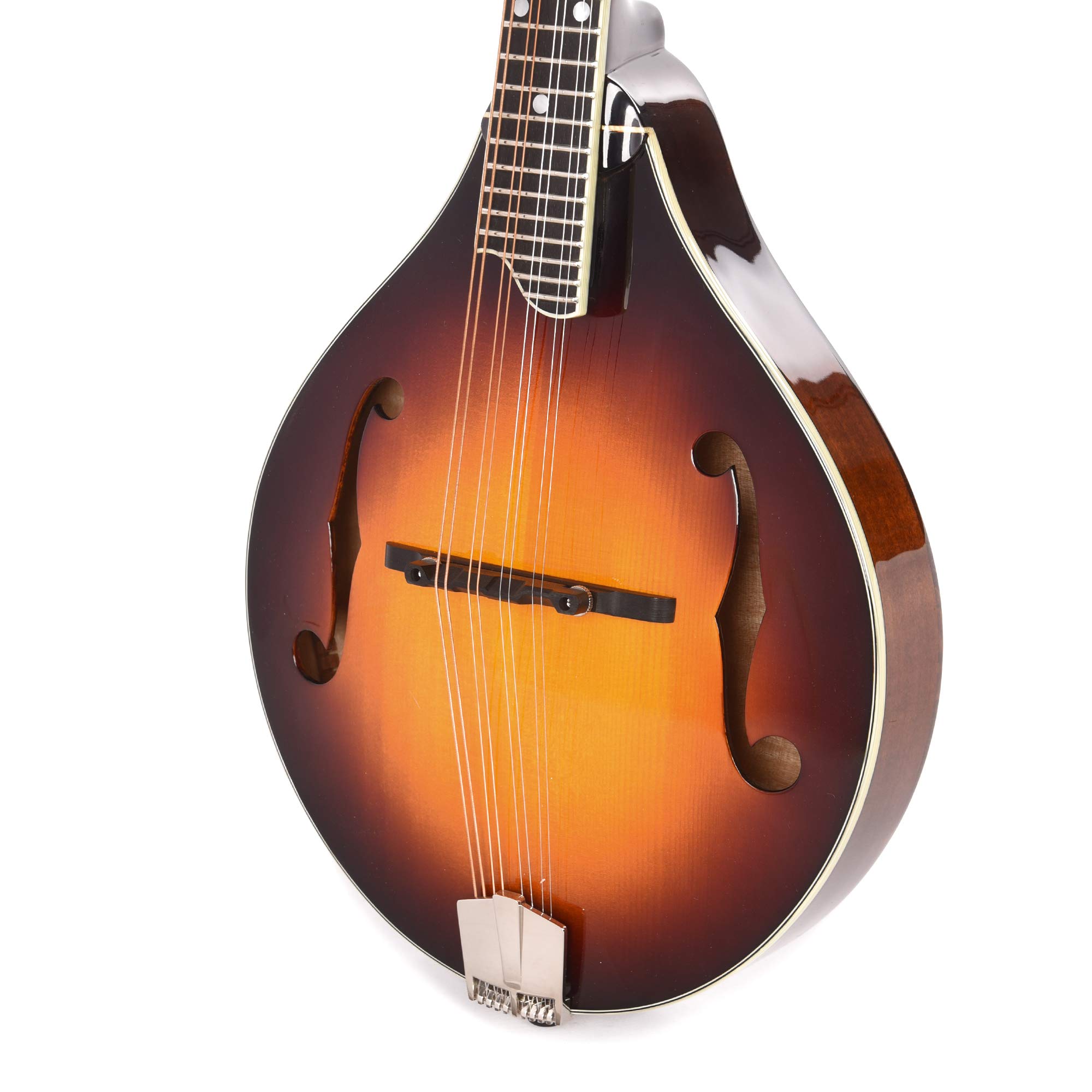 Amazon | Eastman MD505-CS Aスタイル マンドリン Fホール ハード