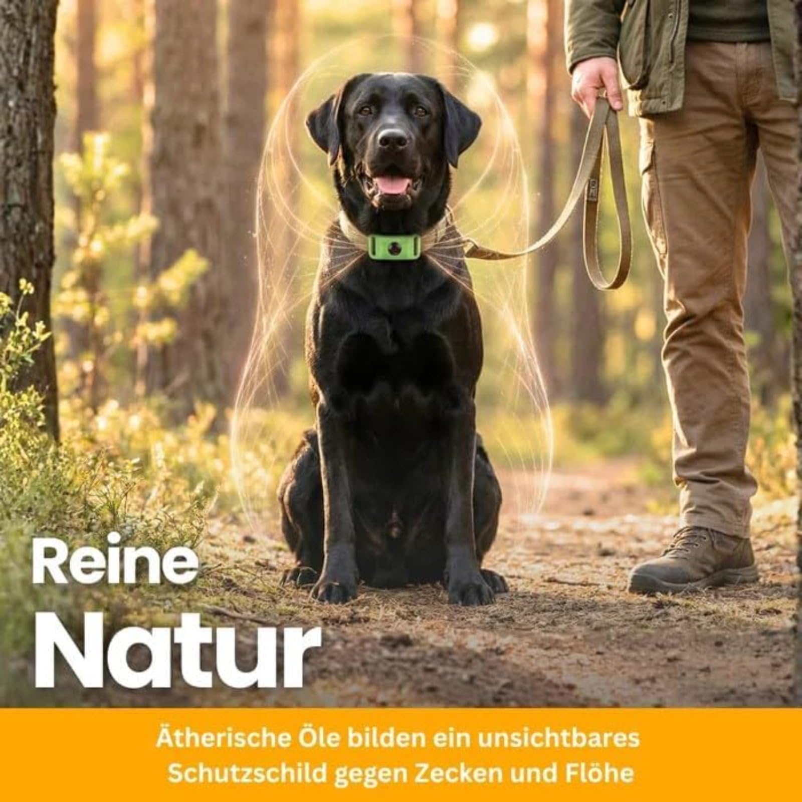 Fell-Freund TickGuard Clip – Gegen Zecken Und Flöhe, Repellent-Hänger, 100% Natürliche Inhaltsstoffe (Schwarz,2 Stück)